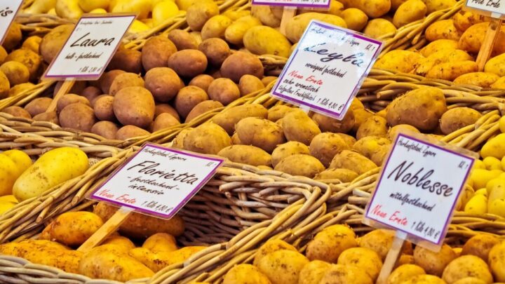 Does Whole Foods Have a Senior Discount in 2026?
