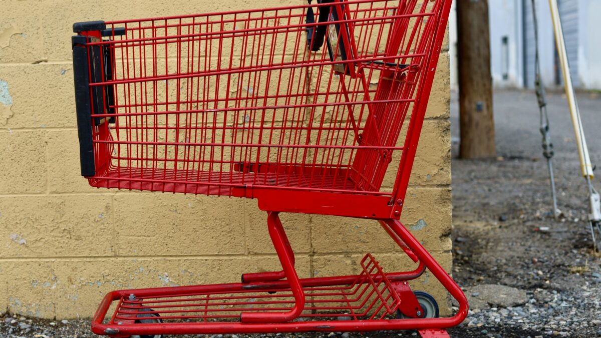 family grocery shopping cart