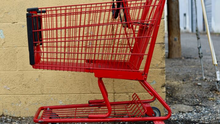 family grocery shopping cart