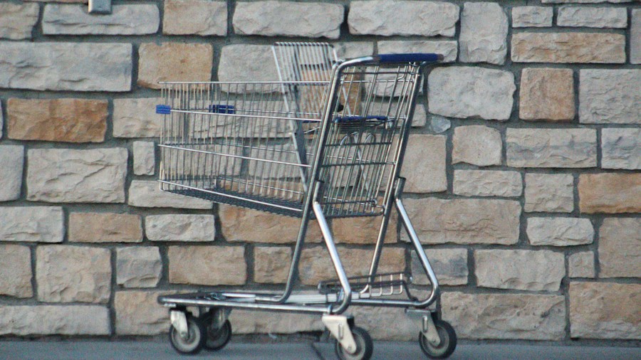 family grocery shopping cart