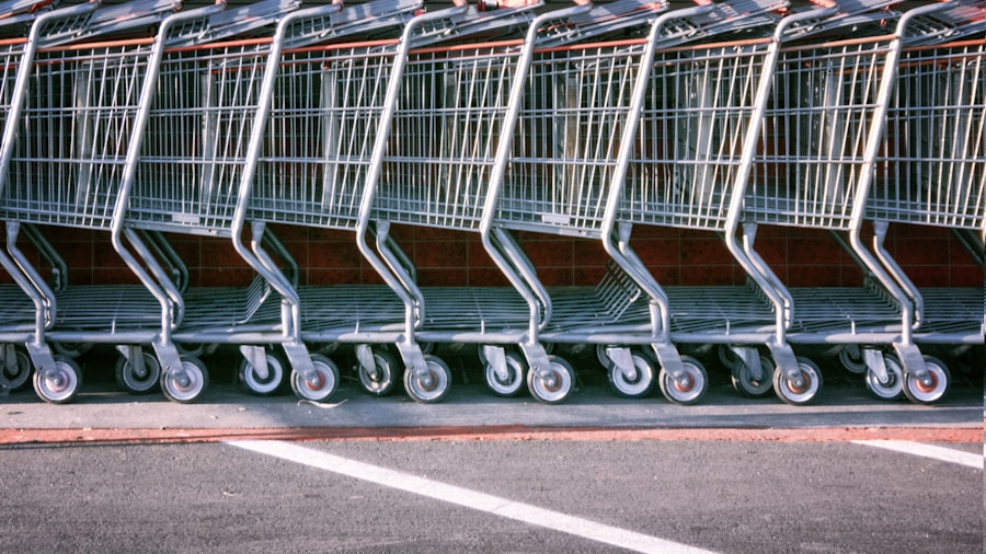 family grocery shopping cart