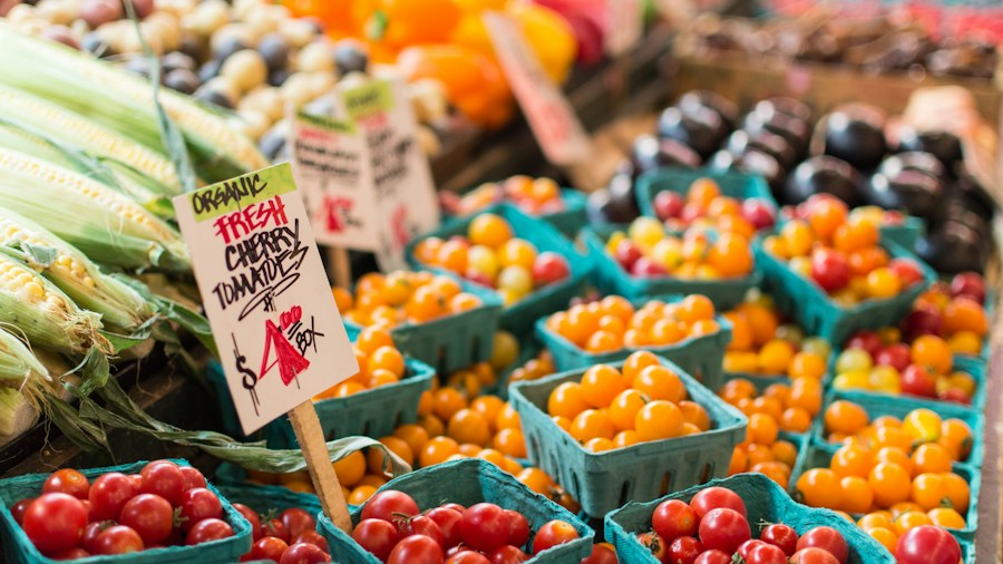 farmers market colorful vegetables