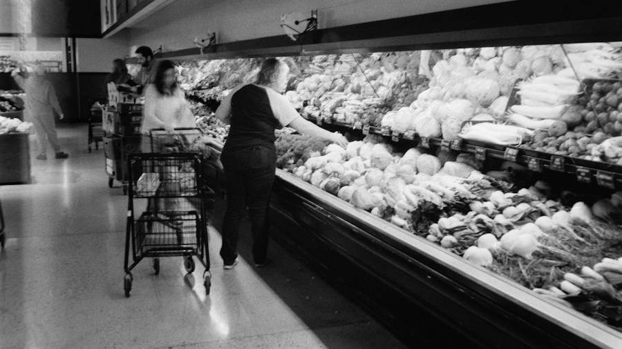 fresh produce section organic