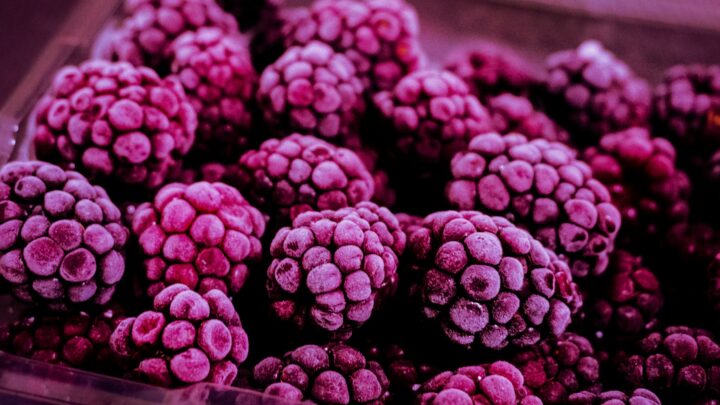 frozen berries ice cream packaging