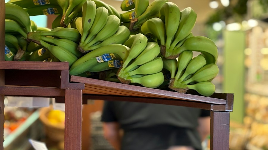 grocery store produce section