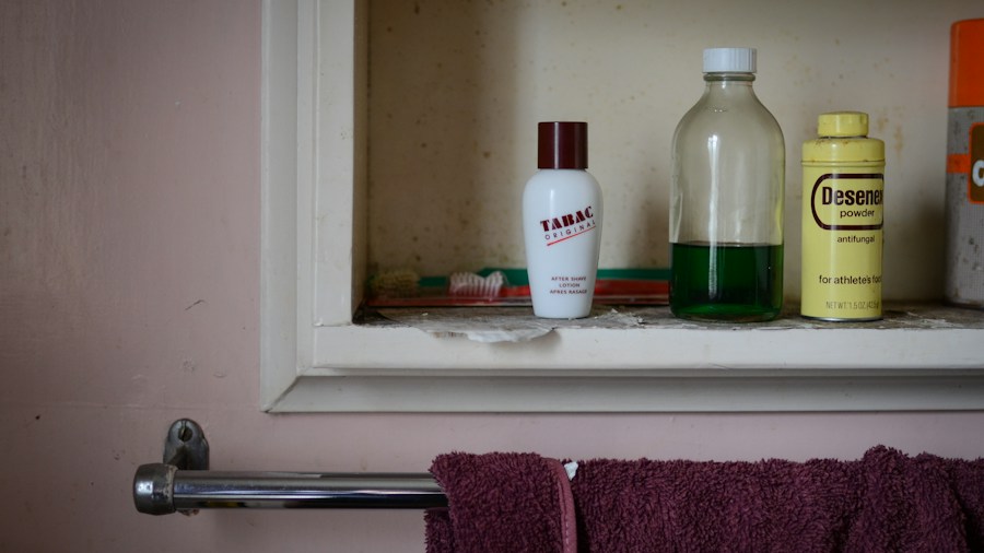 organized bathroom cabinet shelving