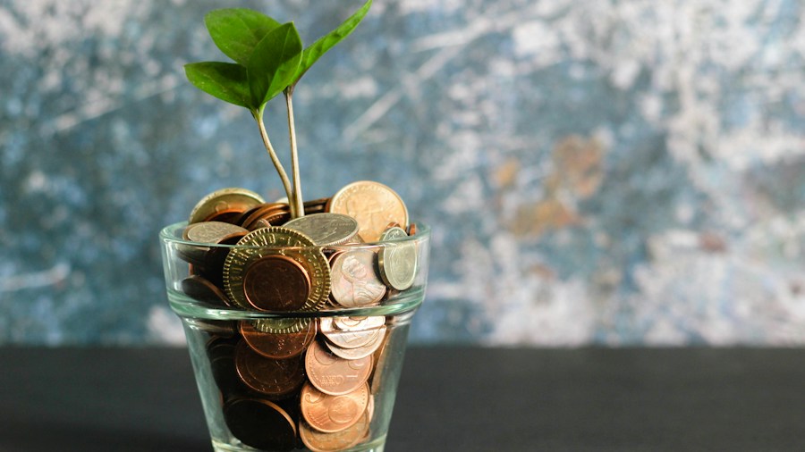 savings account growth money