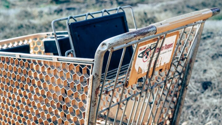 shopping cart grocery store