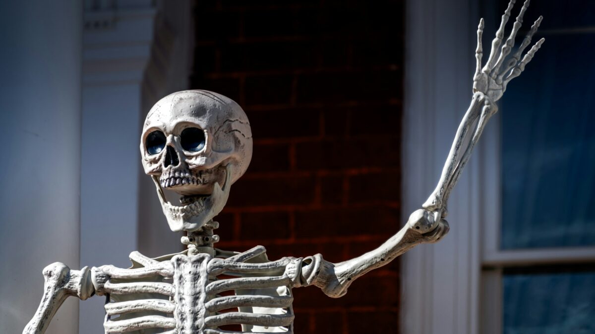 skeleton halloween decorations outdoor