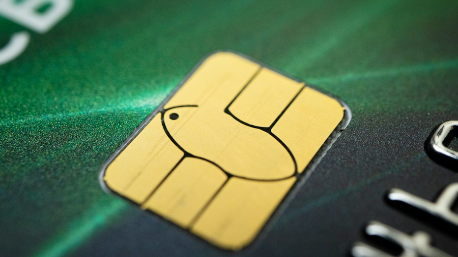 SNAP EBT card payment