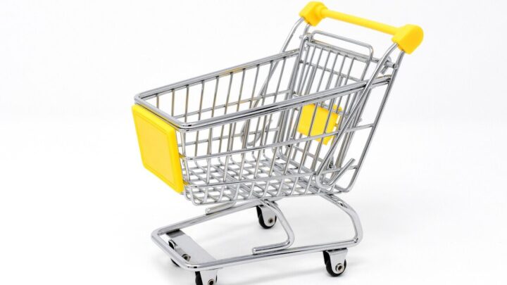 warehouse club grocery shopping bulk