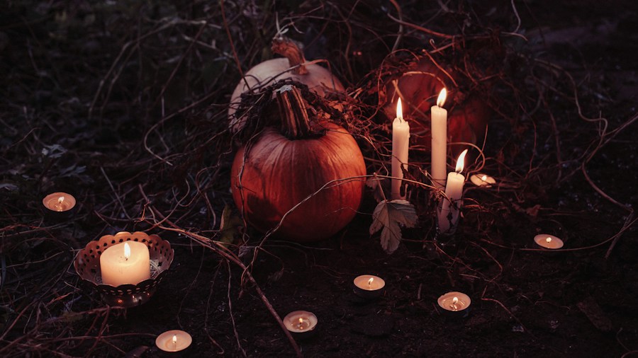 witch decorations pumpkins fall